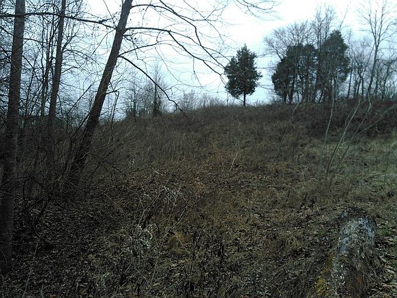 3rd image of 3234 Sugar Creek Pike #5