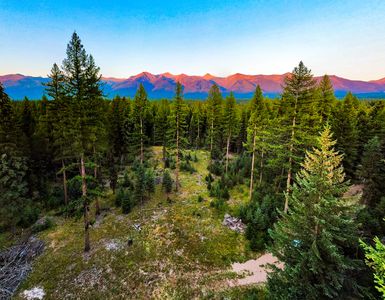 Nhn Scenic Dr, Condon, MT, 59826