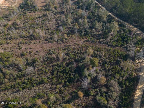4th image of 38.53 Acre Hwy #98