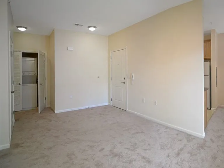 Sutton Hill Apartments and The Point at Sutton Hill — Photo 12
