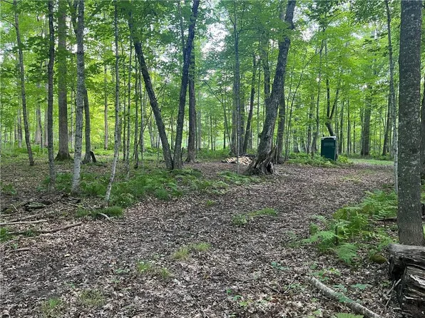 Lot 20 Loch Lomond, Birchwood, WI 54817