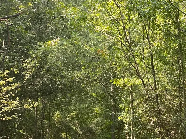 978 Hilt Fornea Rd, Poplarville, MS 39470