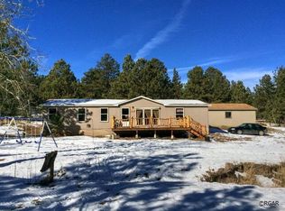 53 Chadwick Ln #2, Westcliffe, CO 81252