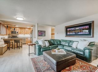 365 Salt Lick Cir, Silverthorne, CO 80498