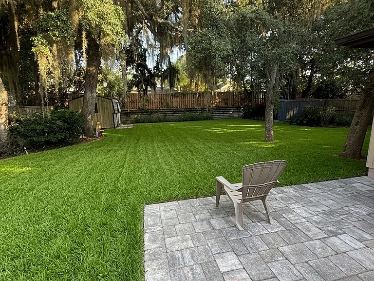 back yard with shed