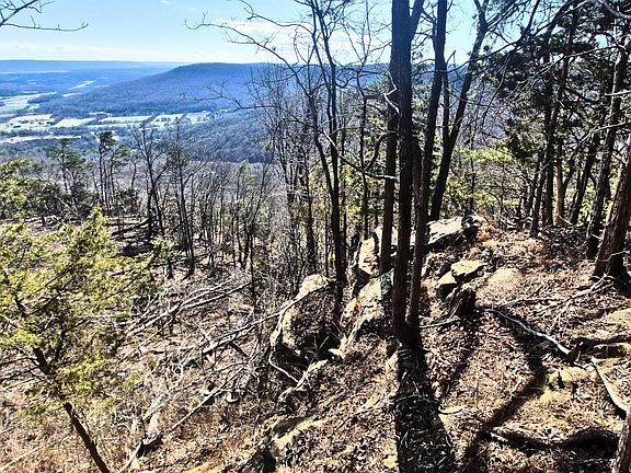 5th image of 9 Lodge Point Rd