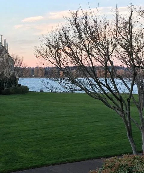 View from Deck