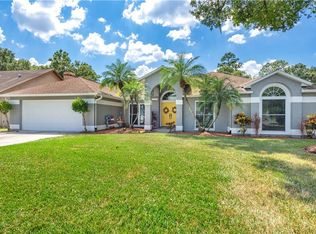 3836 Cold Creek Dr, Valrico, FL 33596