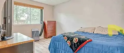 3623 Black Crickett Ct — Photo 11