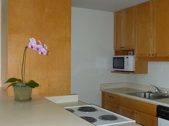 kitchen remodeled 2001