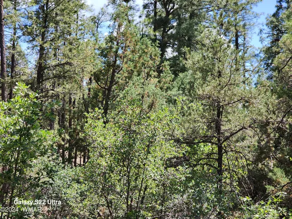 Tbd Timber Ranch Rd, Show Low, AZ 85901