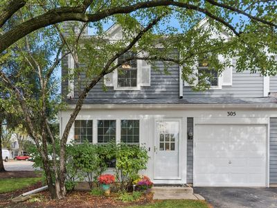 305 Cane Garden Cir, Aurora, IL, 60504