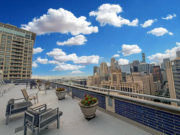 222 E Pearson St #404 — Photo 15