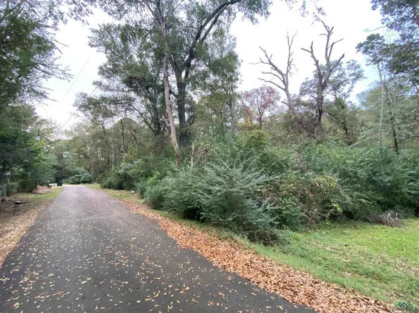 700 Hutchins St, Center, TX 75935