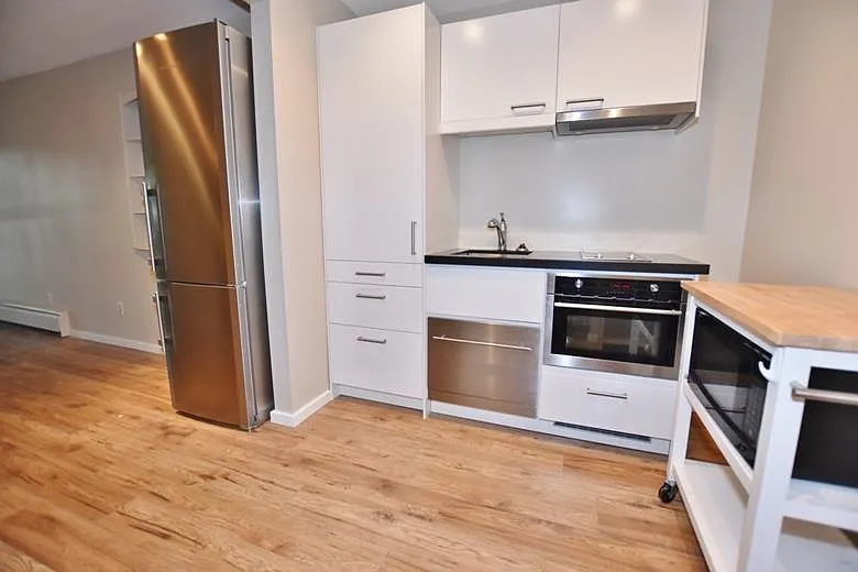 Studio, 455 sqft, $1,800 — Photo 3