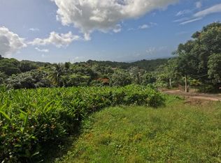 LOT E State Hwy #966, Rio Grande, PR 00745