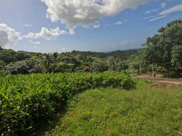 LOT E State Hwy #966, Rio Grande, PR 00745