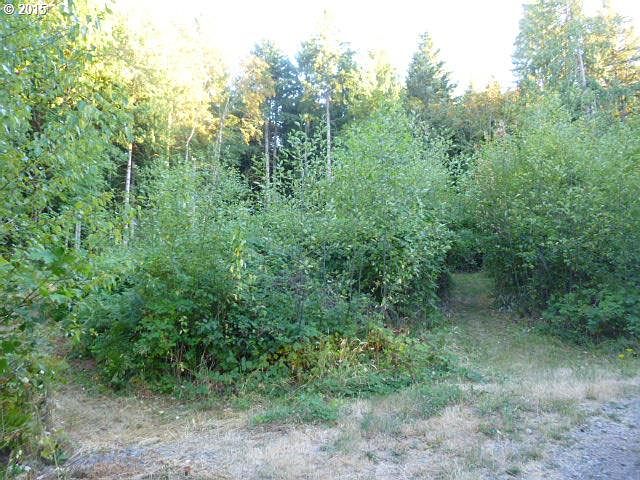 2nd image of 15742 S Wave Rd