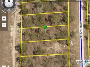 Courlan Rd, Weeki wachee, FL 34614