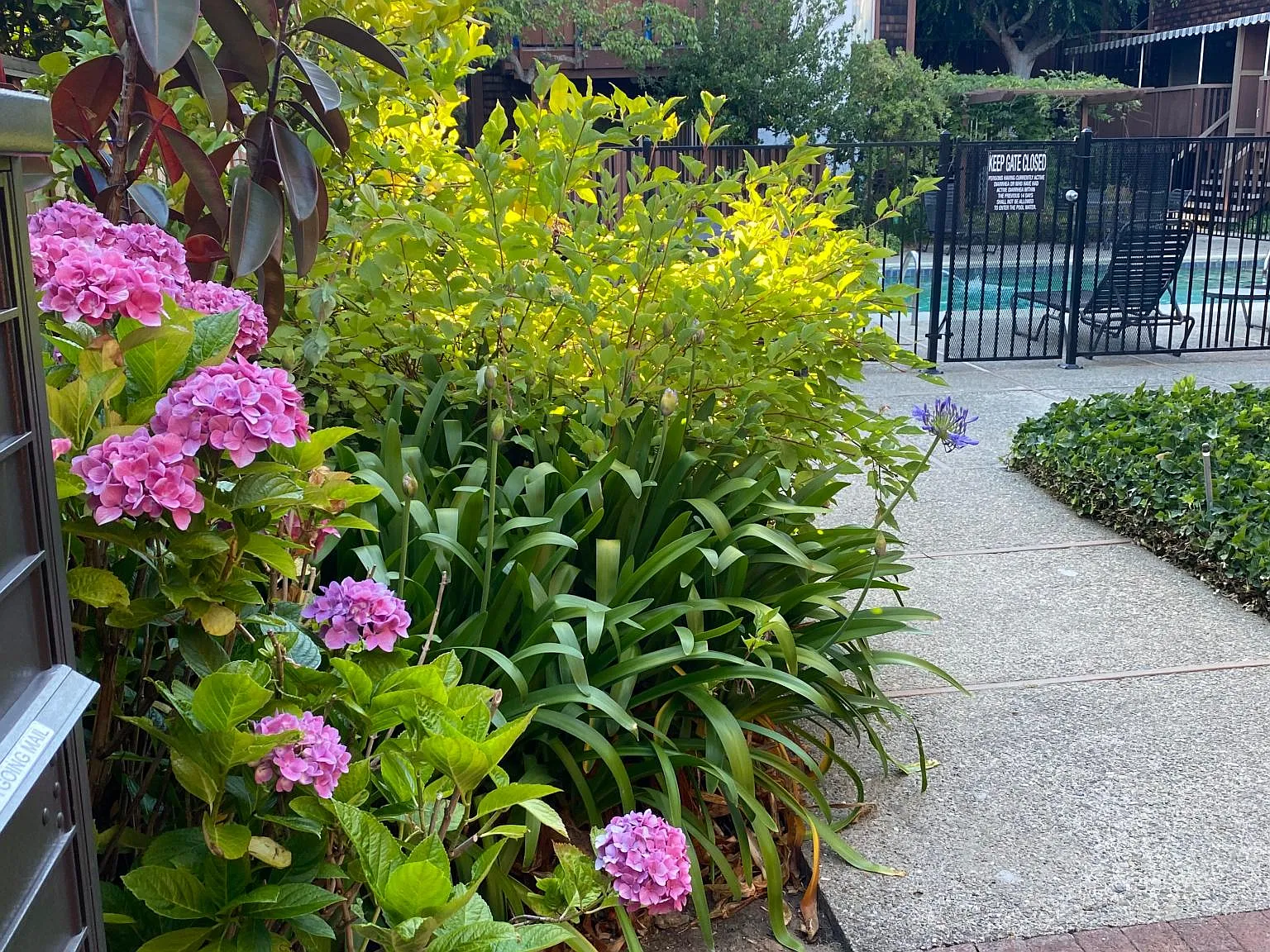 1 bed, 700 sqft, $3,350 — Photo 3