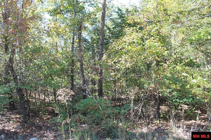 2nd image of Pioneer Trail Dr