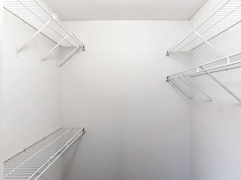 Ample Storage Space - Walk-In Closet