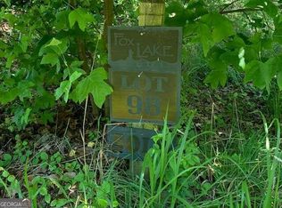 98 Fox Lake Rd, Blairsville, GA 30512