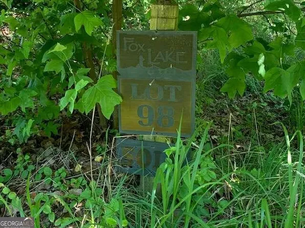 98 Fox Lake Rd, Blairsville, GA 30512