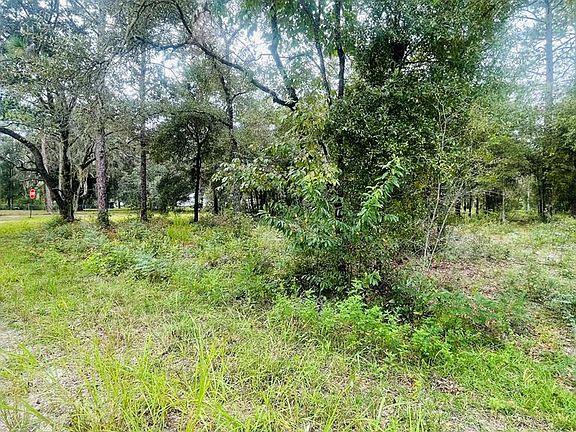3rd image of Lot 40 NE 102nd Ct