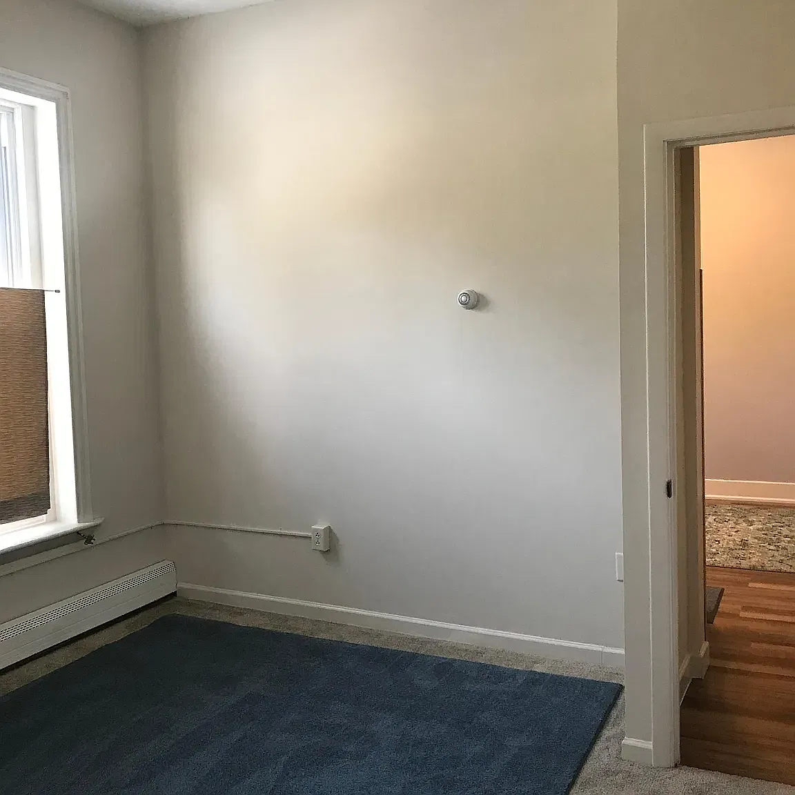 1 bed, 300 sqft, $700 — Photo 4
