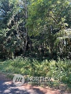 5th image of 10722 Suncrest Drive