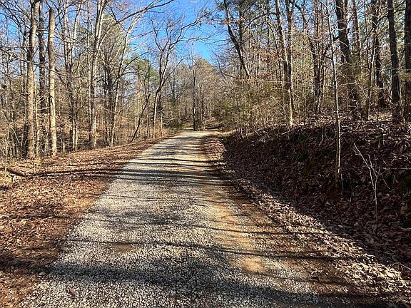 5th image of 343 County Road 758