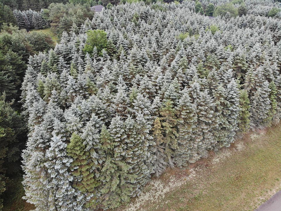 1st image of Ringneck Ln Lot 17