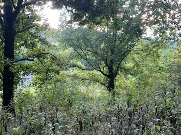 0 Cortner Hollow Rd, Shelbyville, TN 37160