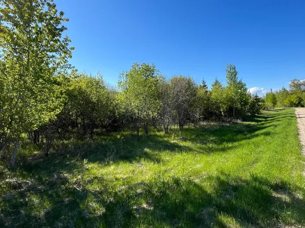 LOT 4 330th St, Warroad, MN 56763
