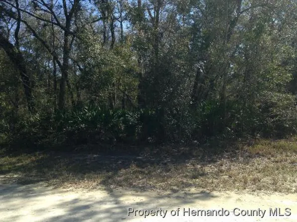 Riverview Dr, Webster, FL 33597