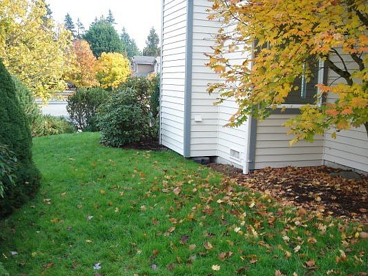 5th image of 10631 117th Pl NE
