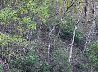 Webster Pike, Grafton, WV 26354