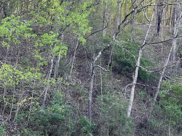 Webster Pike, Grafton, WV 26354