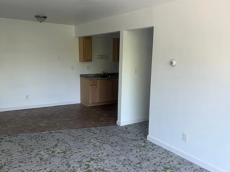 10103 Cadieux Ave #10 — Photo 74