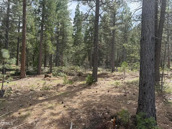 16 Chad Ct, Burney, CA 96013