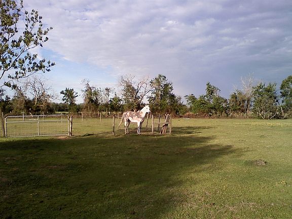 2 acres of fenced pasture