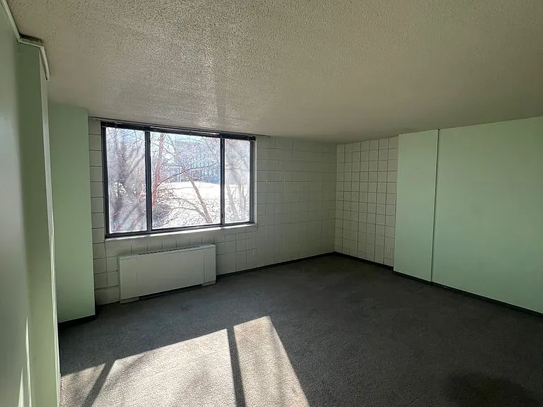 600 E 8th St #3M — Photo 9