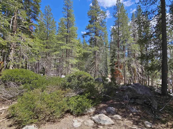 10060 Bunny Hill Rd, Soda Springs, CA 95728