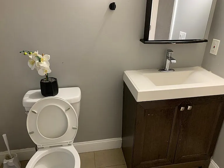 4. Bathroom No. 1 Pic 2