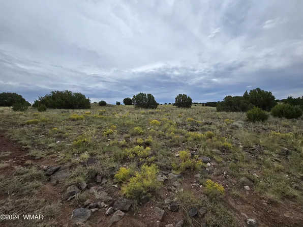 County Road 5151, Concho, AZ 85924