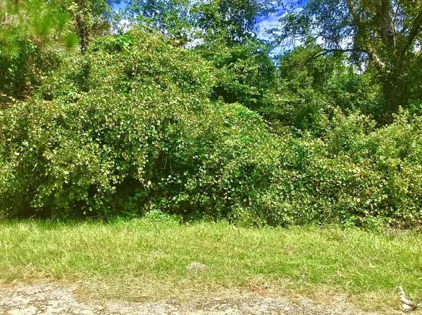 122 SE 2nd St, Georgetown, FL 32139