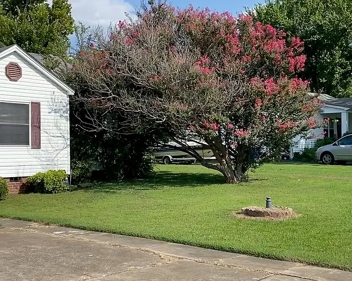 4205 Jenny Lind Rd — Photo 10