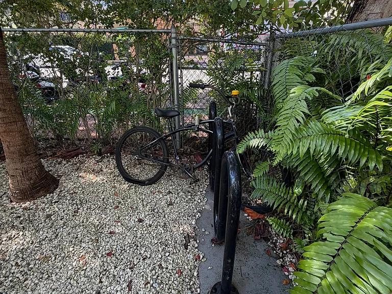 825 Jefferson Ave #4 — Photo 3