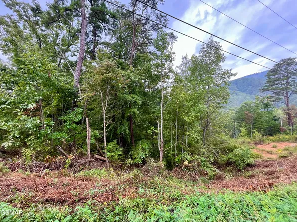 1727 Bluff Ridge Rd, Sevierville, TN 37876